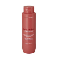 Шампунь BRAÉ Stages Color Protect Shampoo 