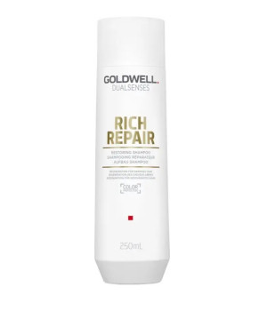 Фото - Шампунь для сухого та пошкодженого волосся Goldwell Dualsenses Rich Repair 250 мл 