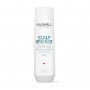 Фото - Шампунь глибокої очистки GOLDWELL Dualsenses Scalp Specialist Deep cleansing shampoo