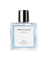 Парфум-блиск для волосся з шимером WOW & LOVE SOUL