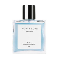 Парфум-блиск для волосся з шимером WOW & LOVE SOUL