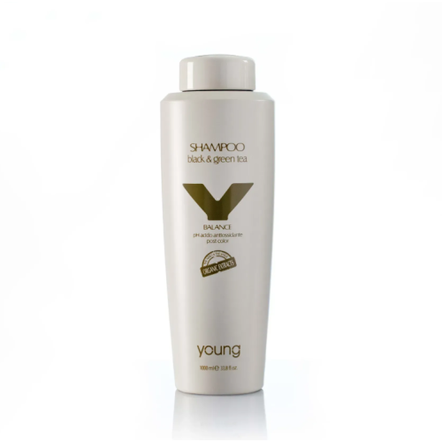 Фото - Шампунь для волосся YOUNG Balance Black & Green Tea Shampoo 